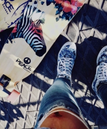 ZEBRA6