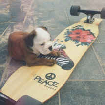peace_boards_22351778_734039996803938_6981540185133547520_n