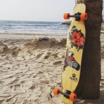 peace_boards_26283254_213673735873288_8145674852917837824_n
