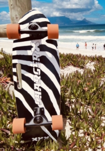 zebra 2