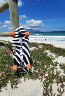 zebra 5