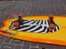 zebra 6
